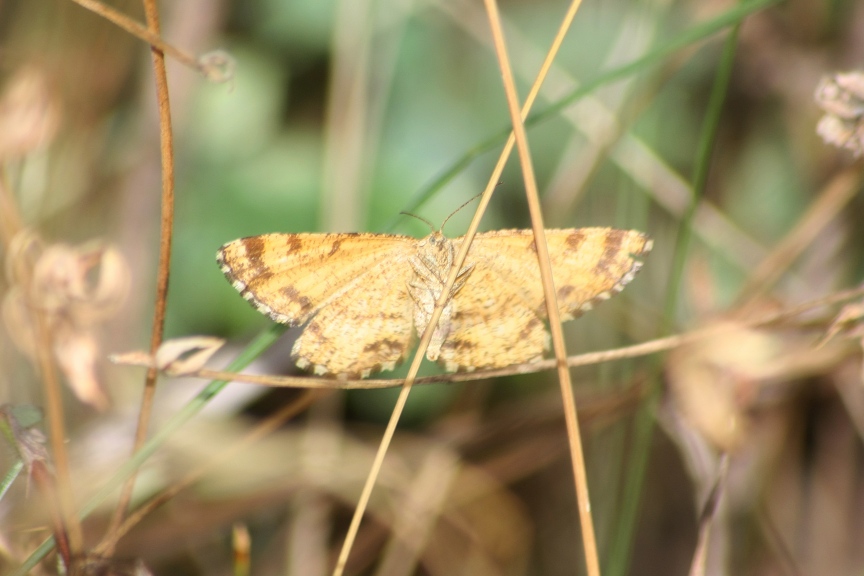 ciclabile Arluno-Boffalora